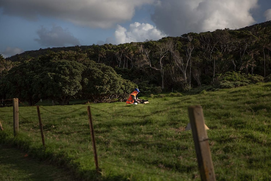 A person seen from a distance, crouching in a field