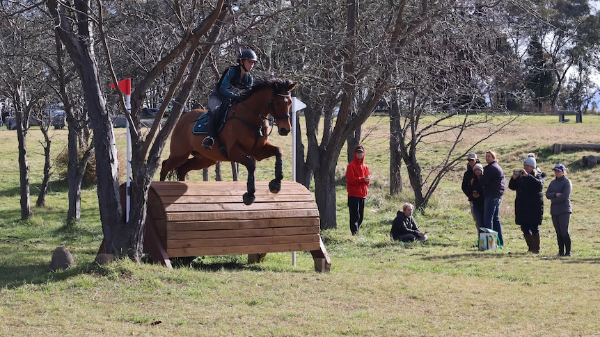 A female rider and her horse jump over a wooden obstable in a field, watched on by a small crowd.