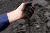 What appears to be a man's hand cupping coal dust.