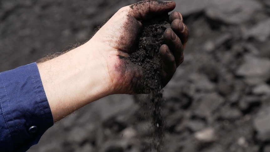 What appears to be a man's hand cupping coal dust.