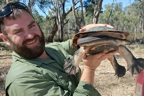 Man holding turtle in bush