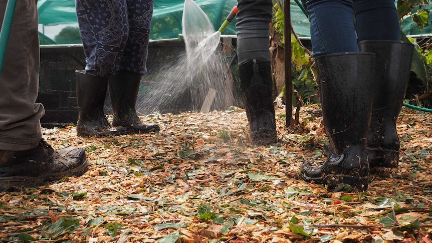 Close up of black gum boots standing standing on the compost heaps with water spraying from hoses