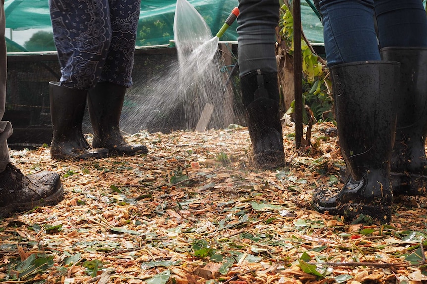 Close up of black gum boots standing standing on the compost heaps with water spraying from hoses