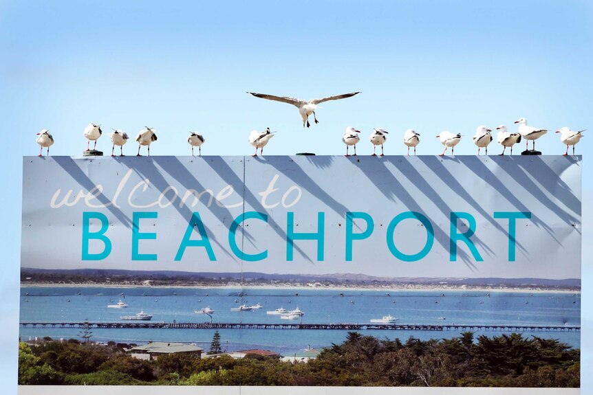 Beachport sign with seagulls.
