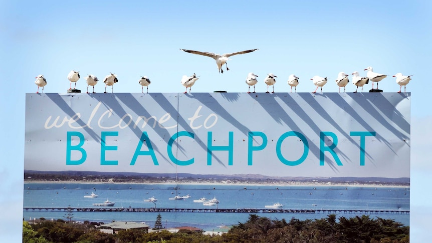 Beachport sign with seagulls