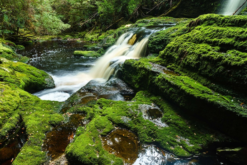 A waterfall on the Franklin River, Tasmania