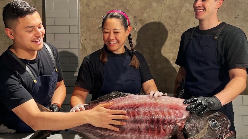 Two men and a women in gloves and aprons smile holding huge skinned fish.