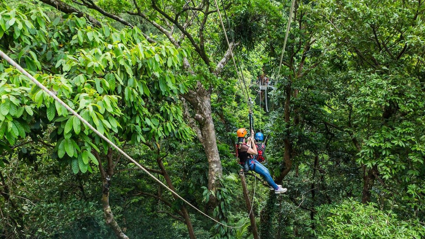 Two people on a zipline in the Daintree rainforest at Cape Tribulation in Far North Queensland on March 23, 2019.