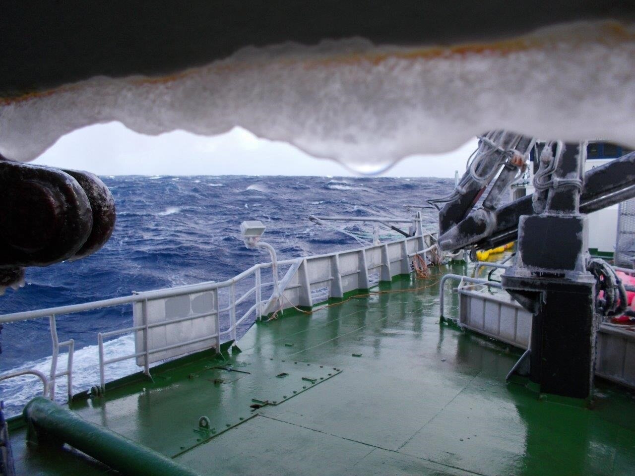 Cold water enzymes could be extracted from Patagonian toothfish gut for use in laundry detergent