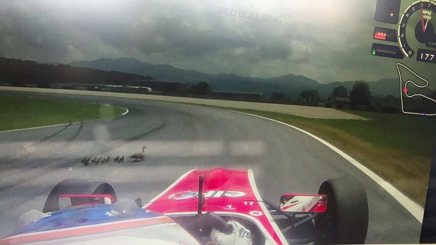 A group of ducks cross in front of Alex Peroni doing 177km/h during testing in Austria.