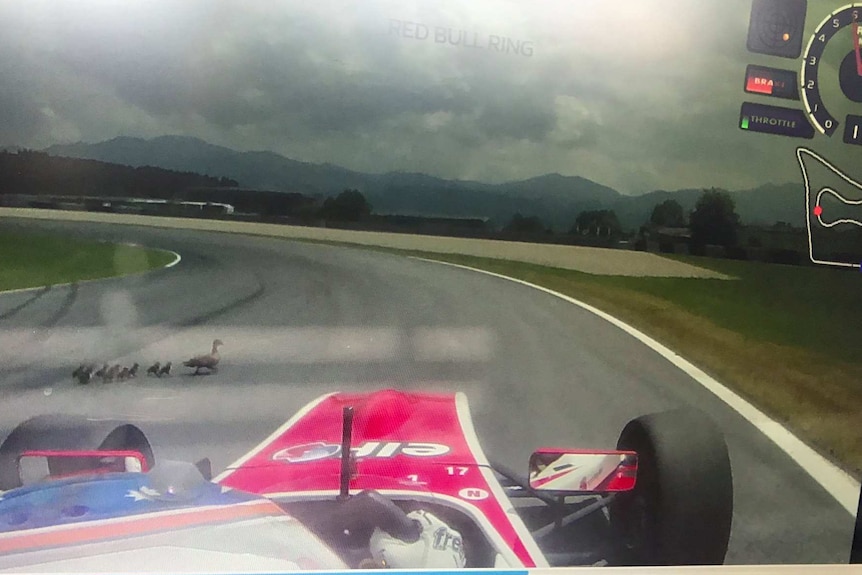 A group of ducks cross in front of Alex Peroni doing 177km/h during testing in Austria.
