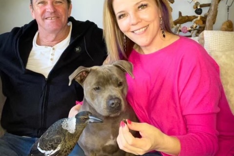 A smiling man and a woman sit on a couch with a magpie and a dog.