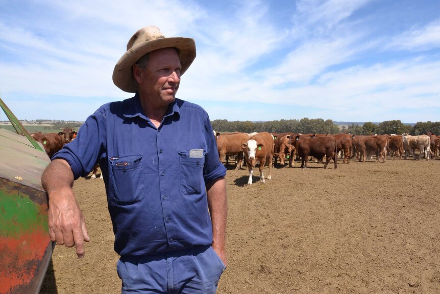 Russell Stevens stands in his cow yard.