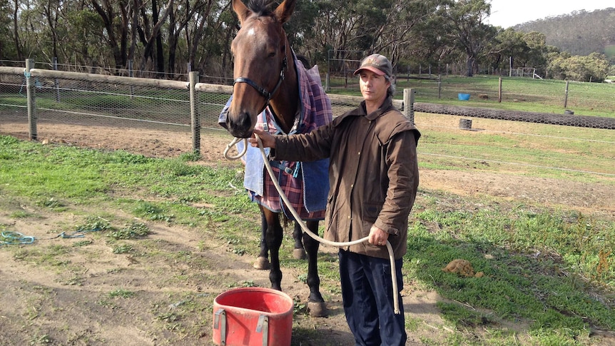 Trainer Trevor Day