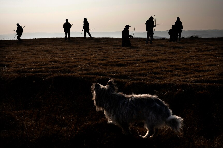 A dog looks at archers silhouetted against the afternoon sun in northern India