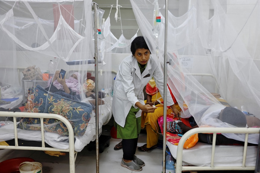A nurse provides treatment to a dengue-infected patient laying under a mosquito net.