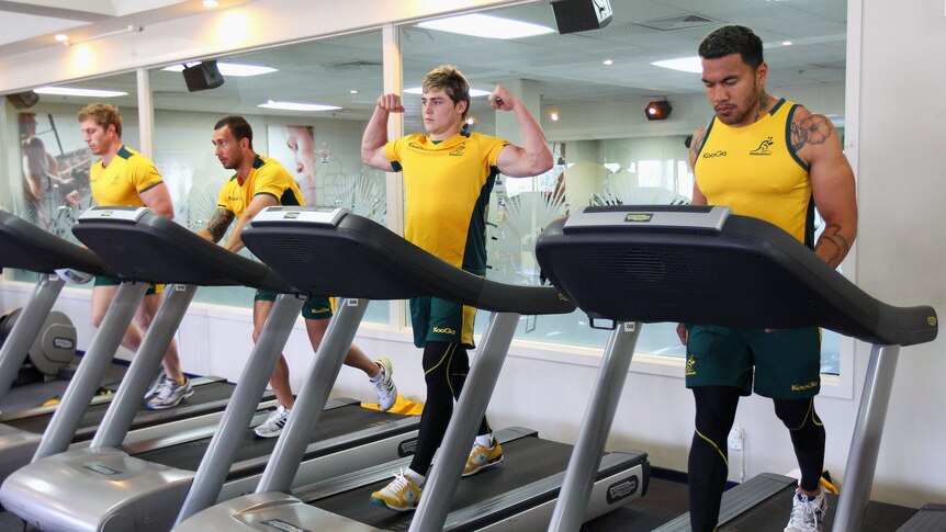Still motivated ... The Wallabies work out during a recovery session in Auckland (Cameron Spencer: Getty Images)