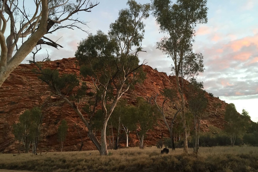 The landscape of Honeymoon Gap, near Alice Springs in the Northern Territory.