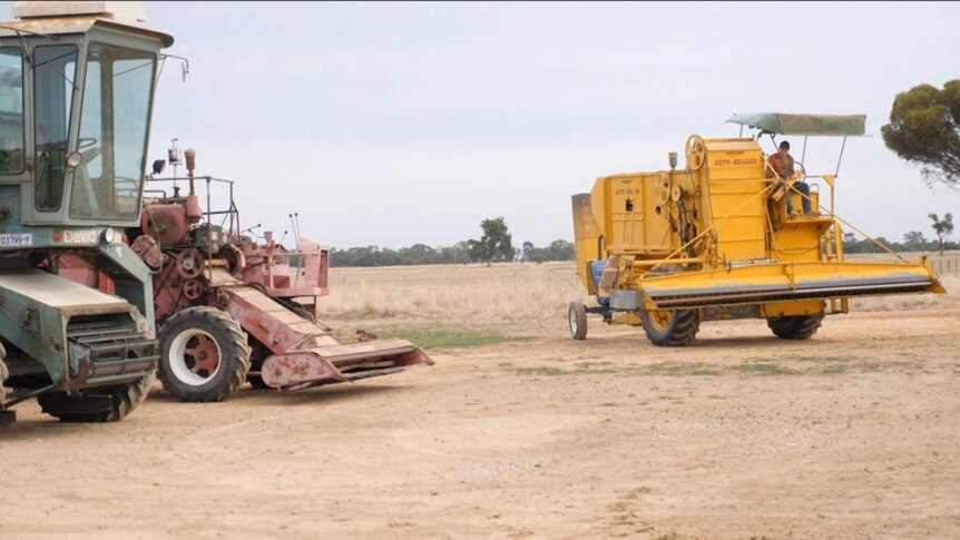 young man driving a vintage header which is big and yellow