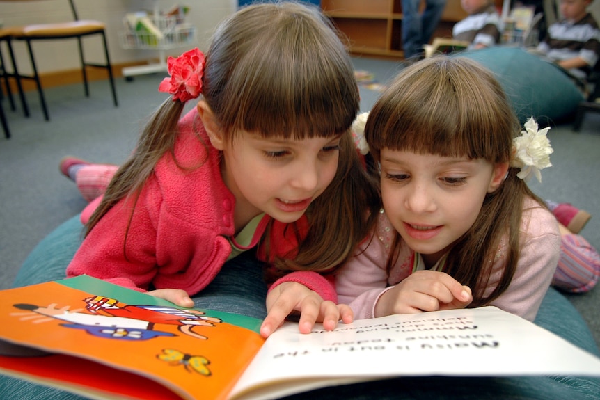 Identical twin girls read a book.