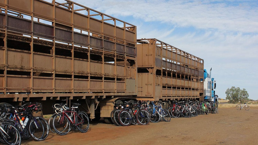 Bikes lined up ahead of outback triathlon at Dirt n Dust Festival at Julia Creek in north-west Queensland