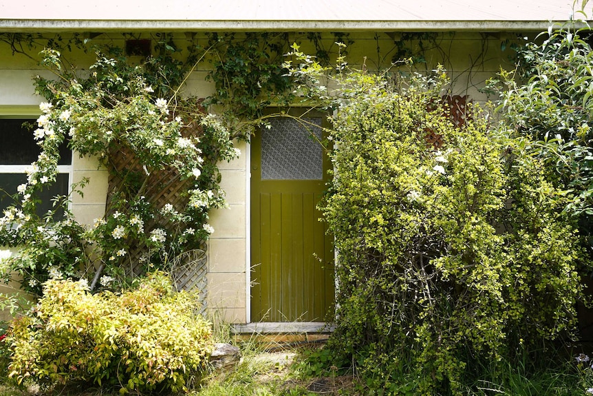 A green door is hidden away by flowering vines at the the back of the Brokensha family home.