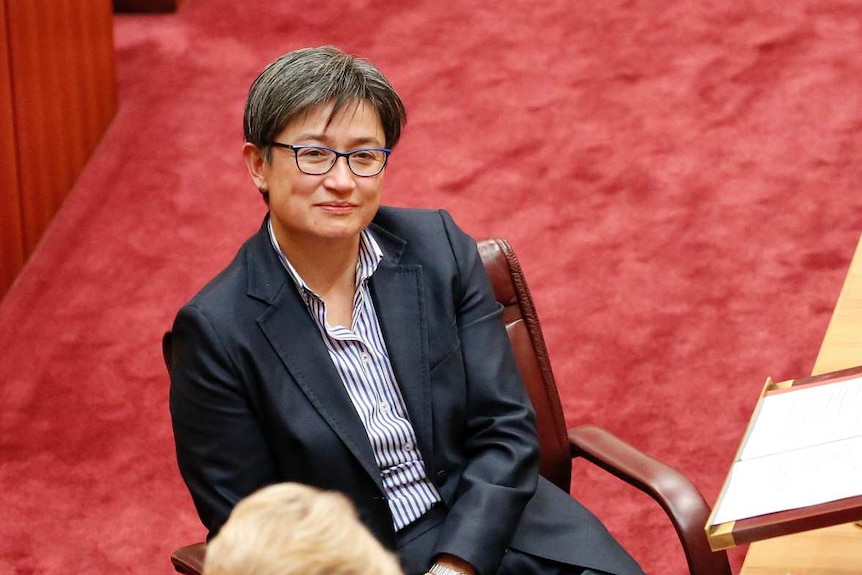 Penny Wong in the Senate