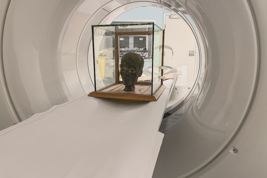 A mummified head in a glass box, inside a CAT scan machine.