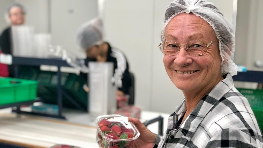 Kathy Black holding two punnets of strawberries with a hair net on in a packing area.
