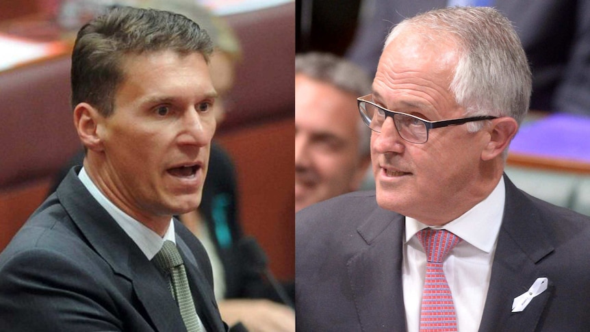 Cory Bernardi and Malcolm Turnbull