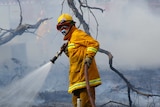 Fire authorities bracing for 'significant' fire season ahead