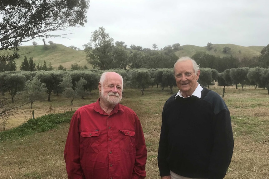 Adams and Pritchard standing in paddock with trees and mountains in the background.