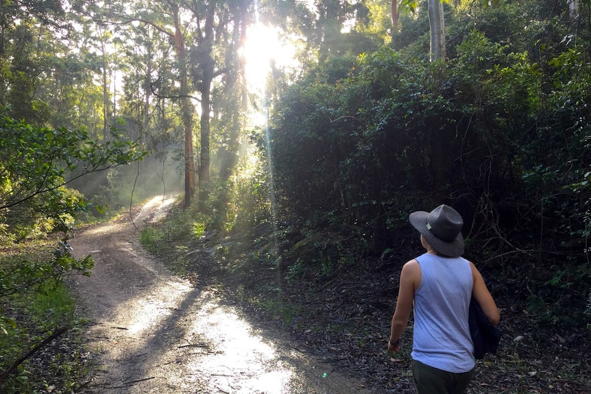 A woman walks through bush in Dungog.