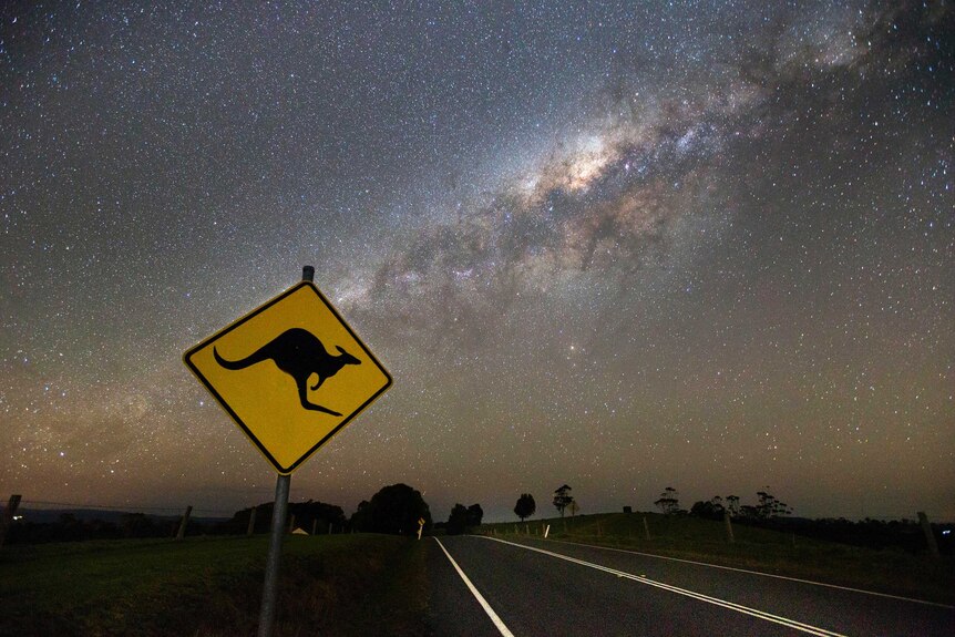 Starry clear night with kangaroo roadsign