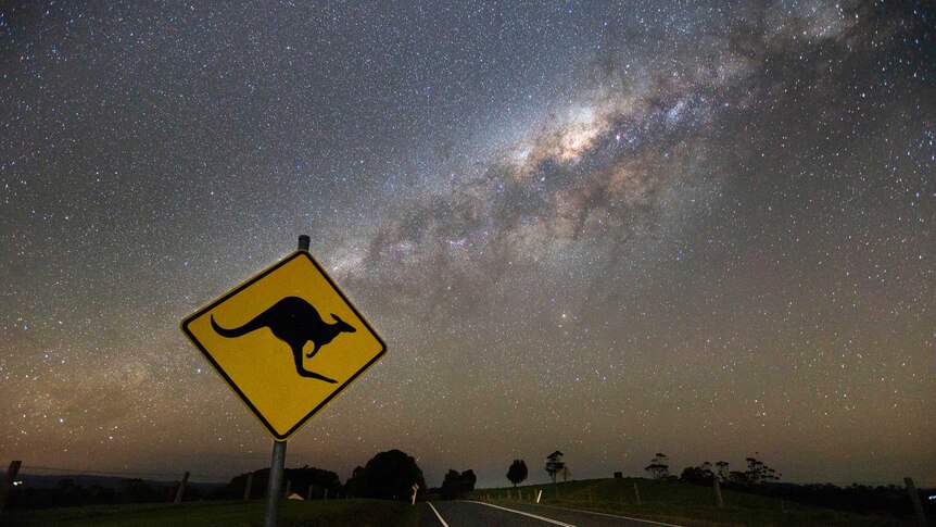 Starry clear night with kangaroo roadsign