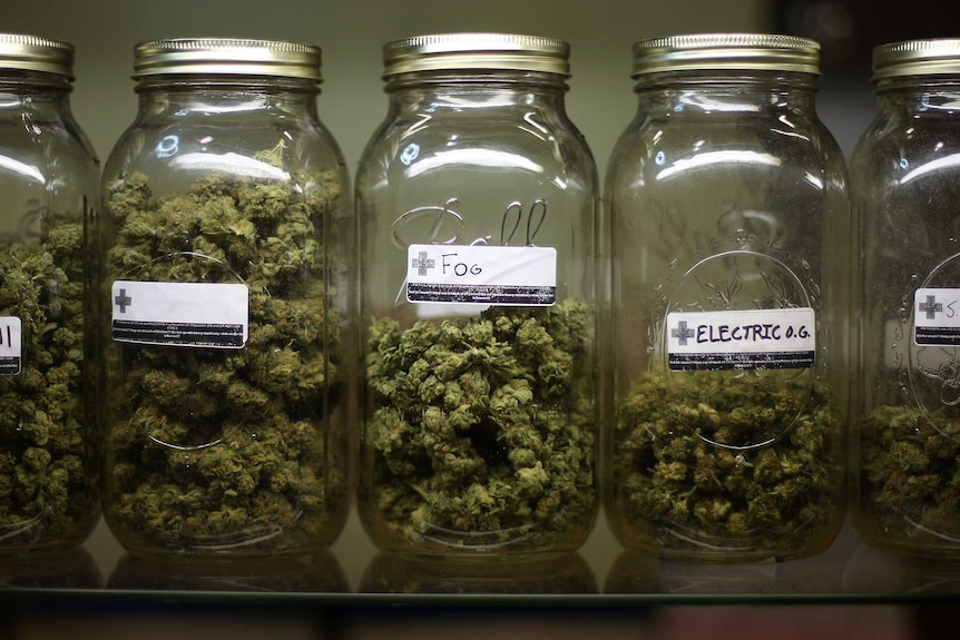 Kinds of marijuana on display at a California dispensary