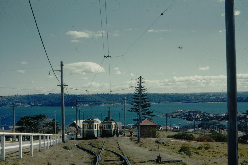 Two trams sit near Watson's bay in the 1960s