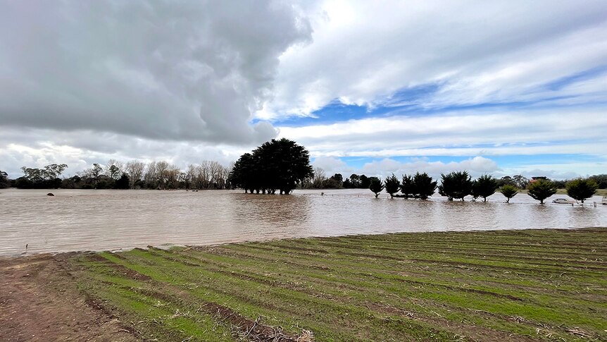 Picture of a submerged farm paddock. The water level is almost at the top of the farm fence at the edge of the paddock.