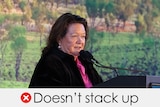Gina Rinehart wears a black jacket and pink shirt. She speaks at a lectern, Verdict: DOESN'T STACK UP
