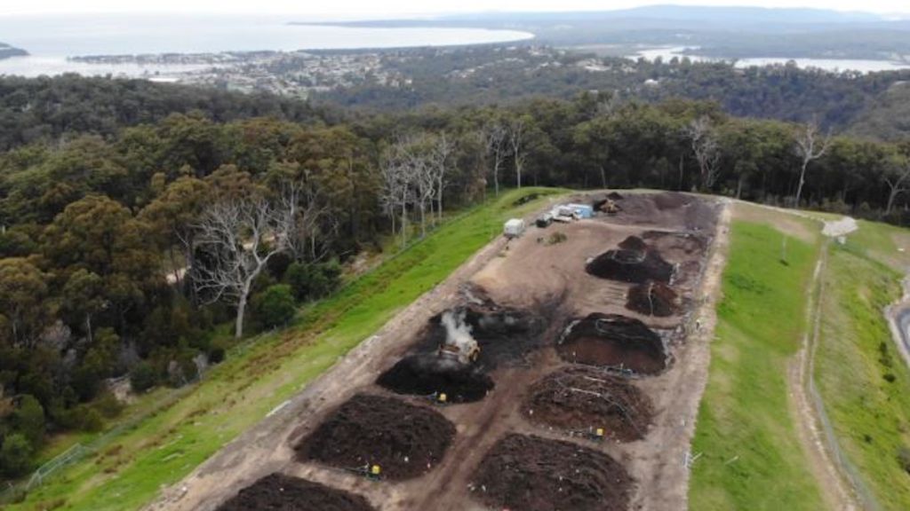 Bega’s compostable nappy trial - ABC News