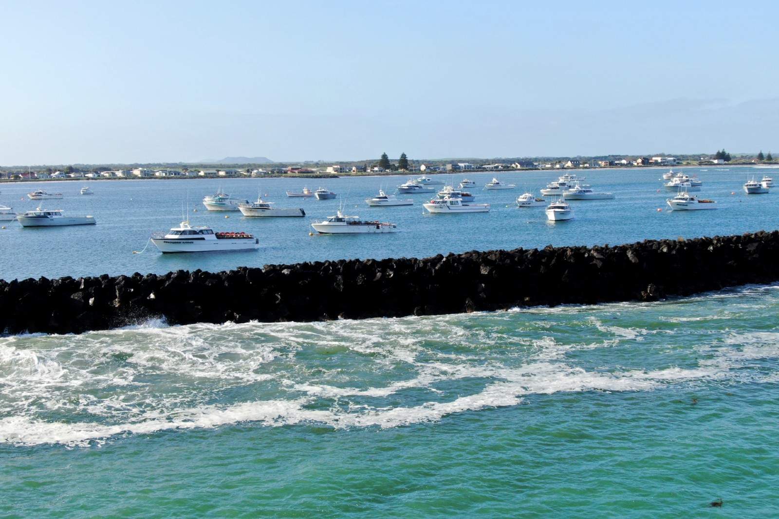 South Australia's lobster season starts as markets tighten ABC News