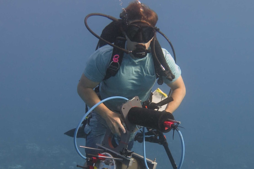 Underwater microscope