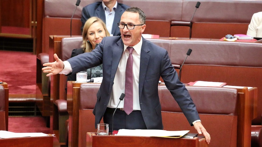 Greens leader suspended from Senate for calling Barry O'Sullivan a 'pig' (Photo: ABC News/Matt Roberts)