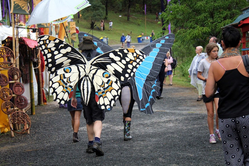 Butterflies at Woodford