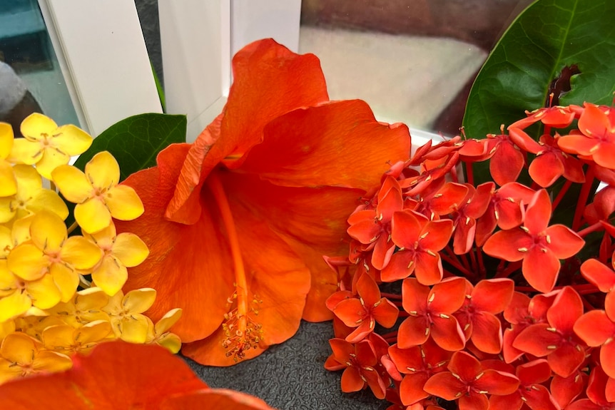 tropical flowers on a table