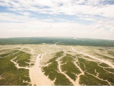 An aerial photo of an island covered in tidal channels