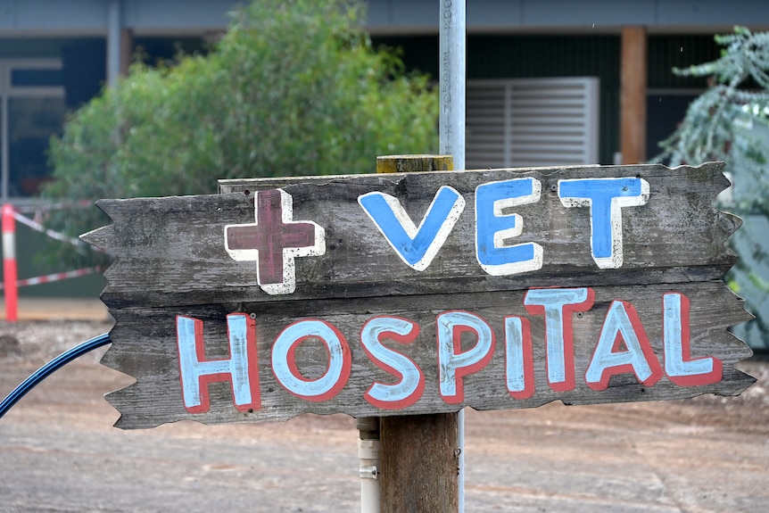 A wooden sign with the words 'vet hospital' written on it