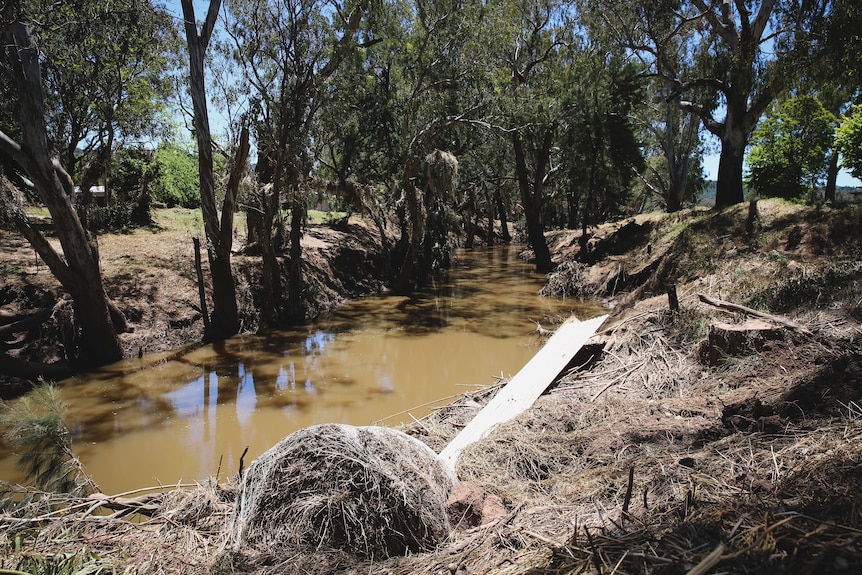 A creek bed showing washed up bales of hay and flattened grasses. 