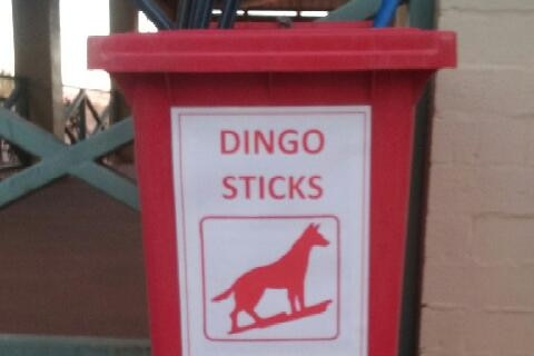 red bin with labelled dingo sticks