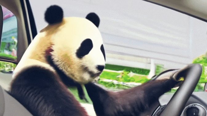 An animated gif of an AI-generated video of a panda driving a car